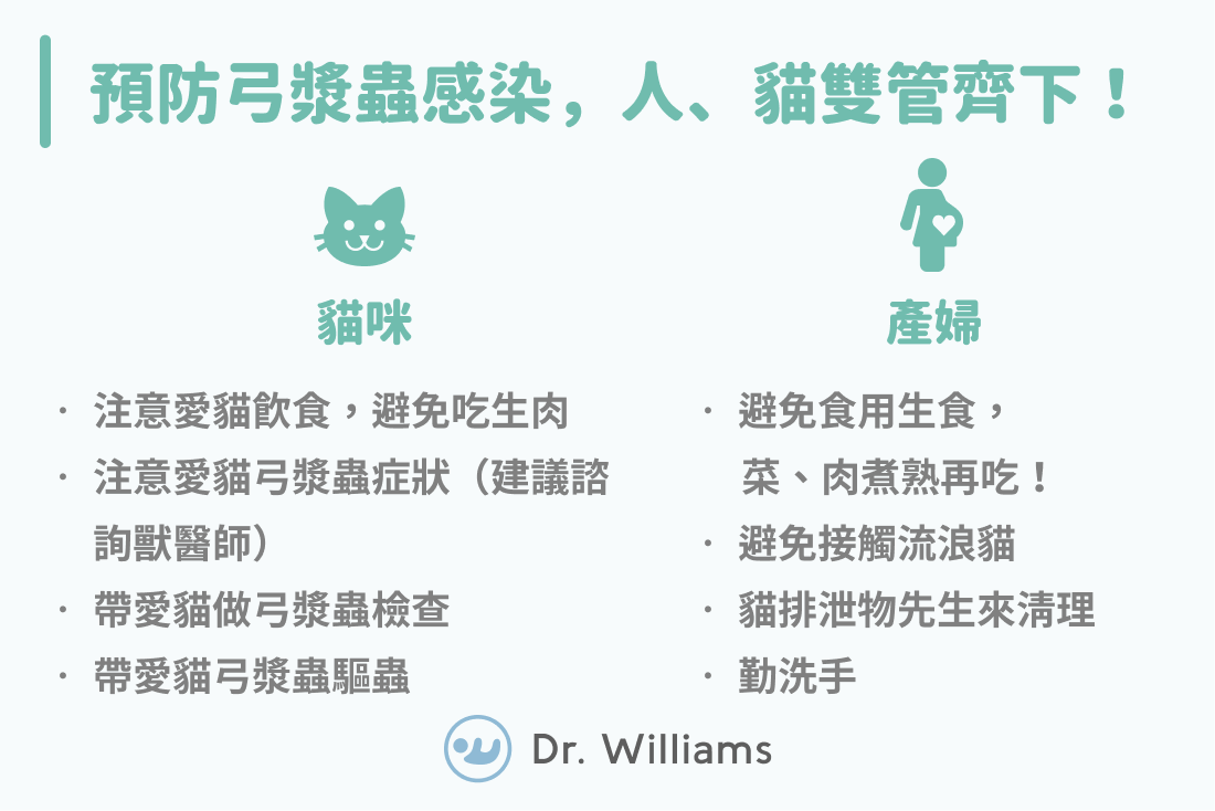 預防弓漿蟲感染，人、貓雙管齊下！