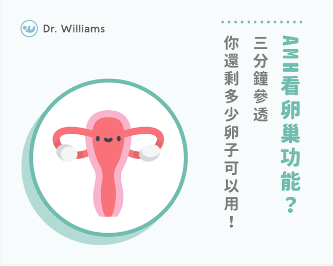 AMH是什麼？AMH正常值是多少？怎麼讓AMH改善？