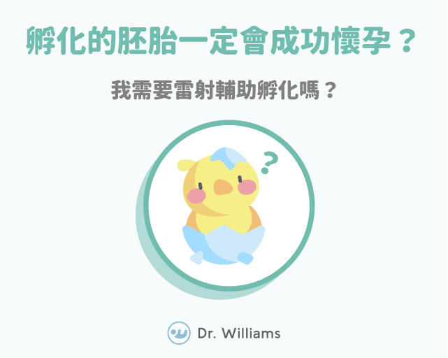 孵化的胚胎一定會成功懷孕？我需要雷射輔助孵化嗎？