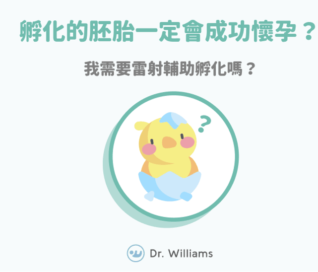 孵化的胚胎一定會成功懷孕？我需要雷射輔助孵化嗎？