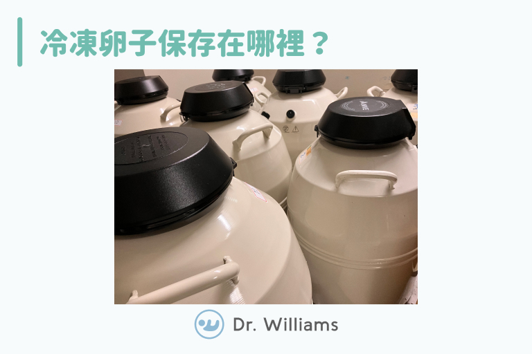 冷凍卵子保存在哪裡?