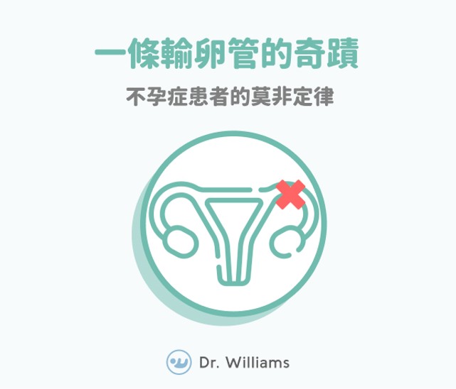 一條輸卵管的奇蹟：不孕症患者的莫非定律