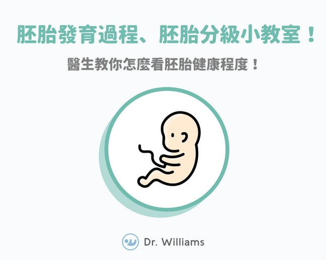 胚胎發育、胚胎分級小教室！醫教你怎麼看胚胎健康程度！