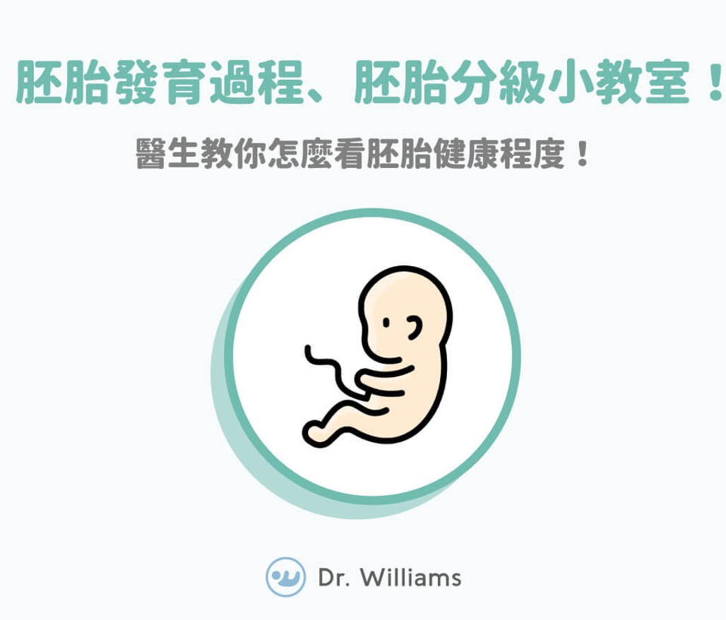 胚胎發育、胚胎分級小教室！醫教你怎麼看胚胎健康程度！