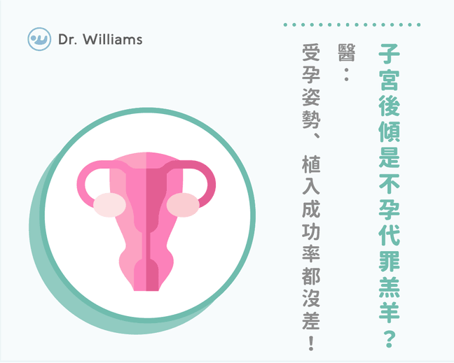 子宮後傾懷孕機率高嗎？子宮後傾改善、迷思大公開！