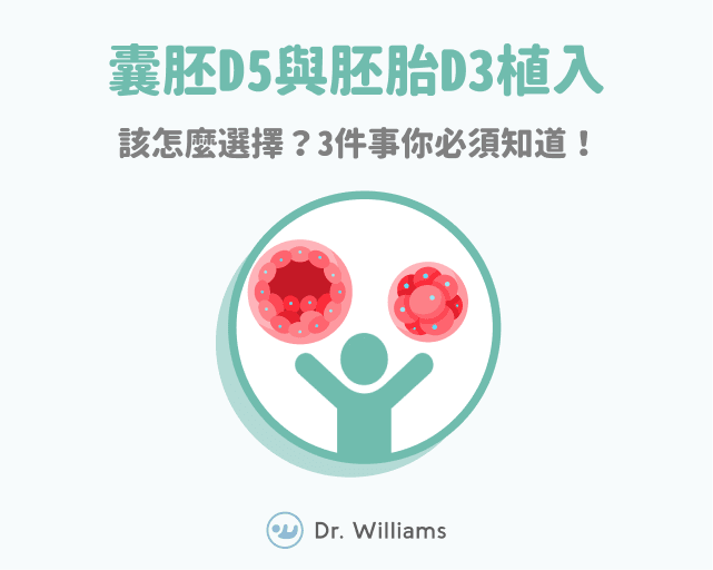 囊胚D5與胚胎D3植入該怎麼選擇?3件事你必須知道