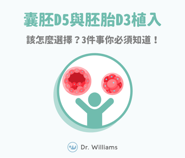 囊胚D5與胚胎D3植入該怎麼選擇?3件事你必須知道