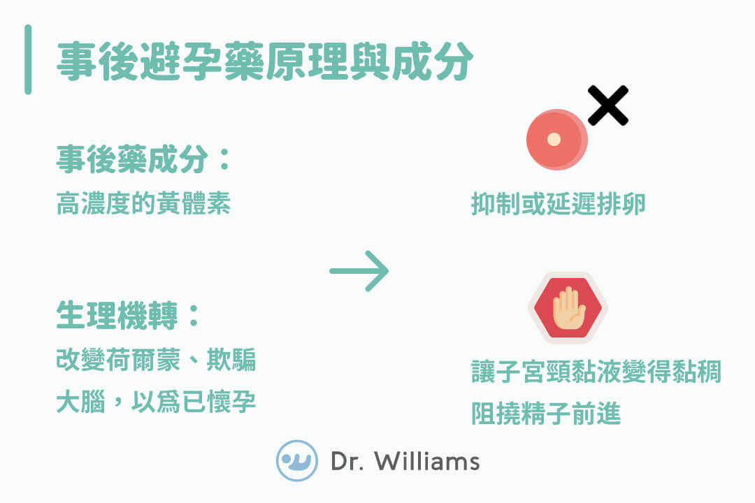 事後避孕藥原理與成分