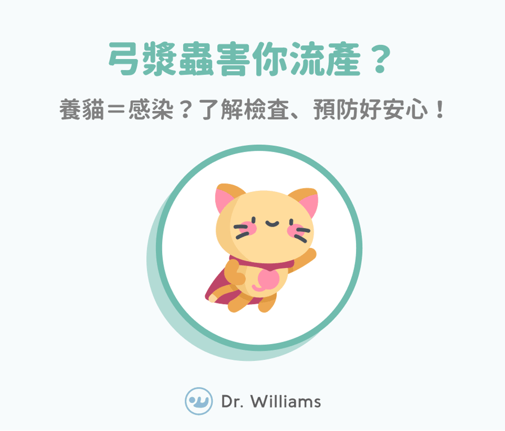弓漿蟲害你流產？養貓＝感染？了解檢查、預防好安心！