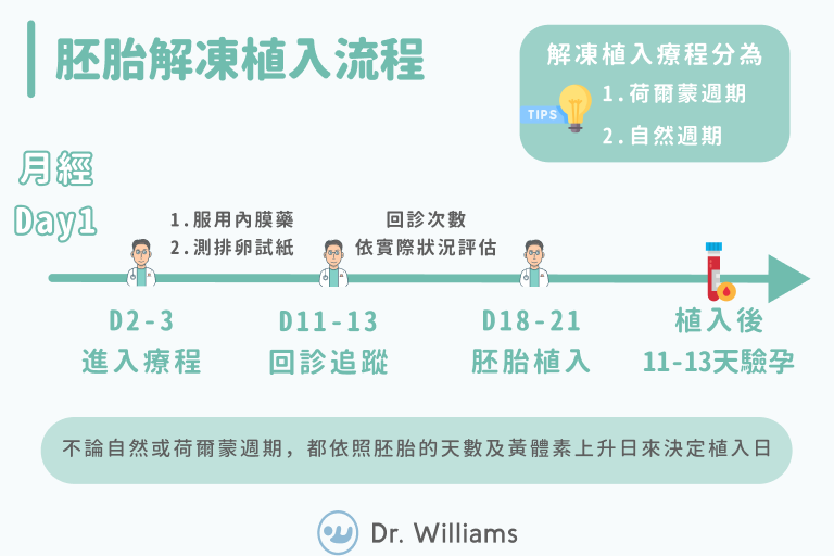 胚胎解凍植入流程