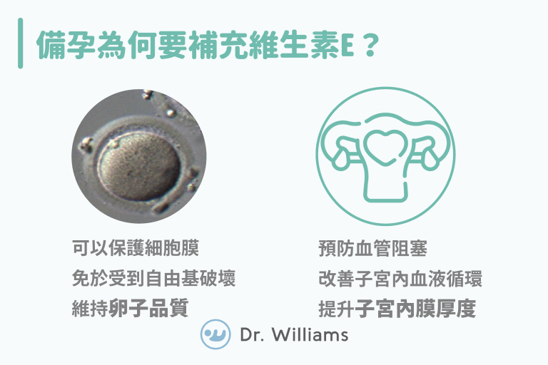 備孕為何要補充維生素E?