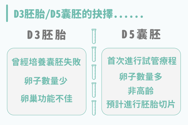 D3胚胎/D5囊胚的抉擇